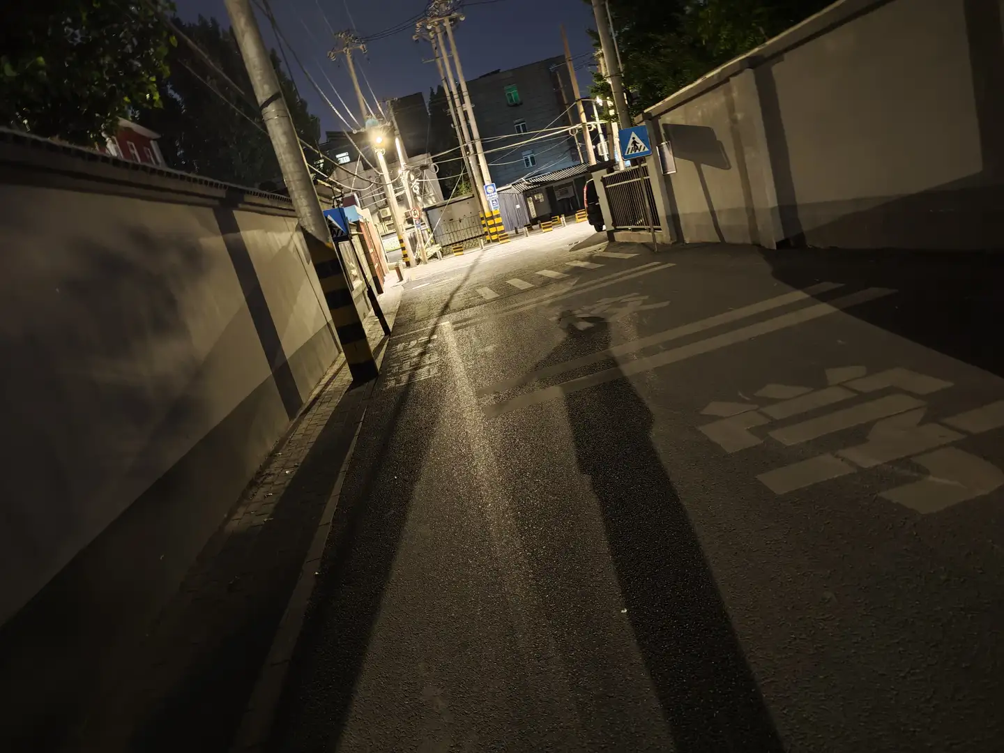夜晚的街道两旁墙壁高耸,地面铺有沥青,路灯投下长长的影子。前方有一个斑马线标志,街道尽头可见一些建筑物。整体环境显得宁静而幽暗。