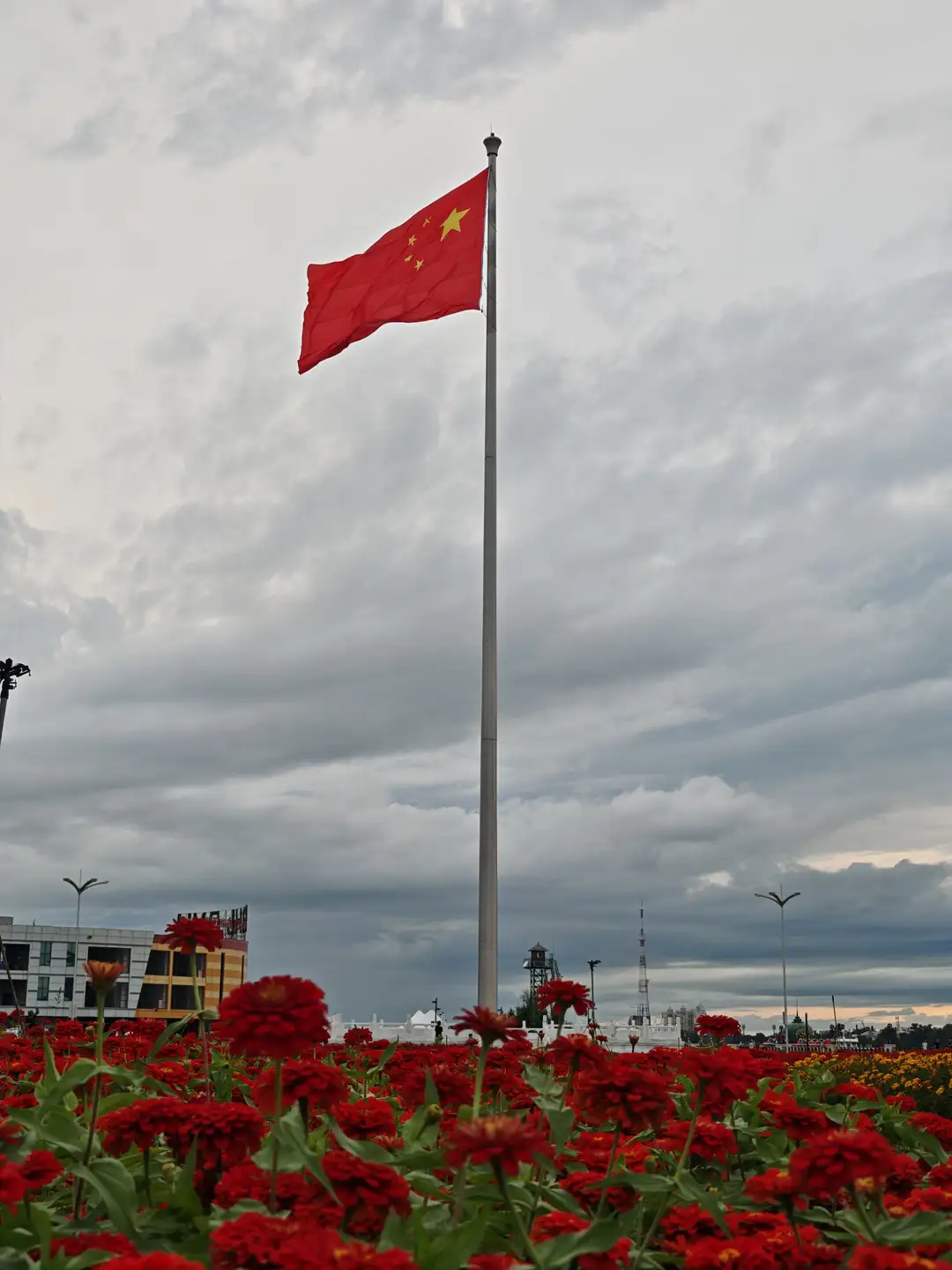 一面中国国旗在高高的旗杆上飘扬,旗面红色,左上角有五颗黄色五角星。旗杆下方是一片盛开的红色花朵,背景是阴云密布的天空和远处的建筑物。